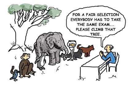 may 24 If you ask a fish to climb a tree